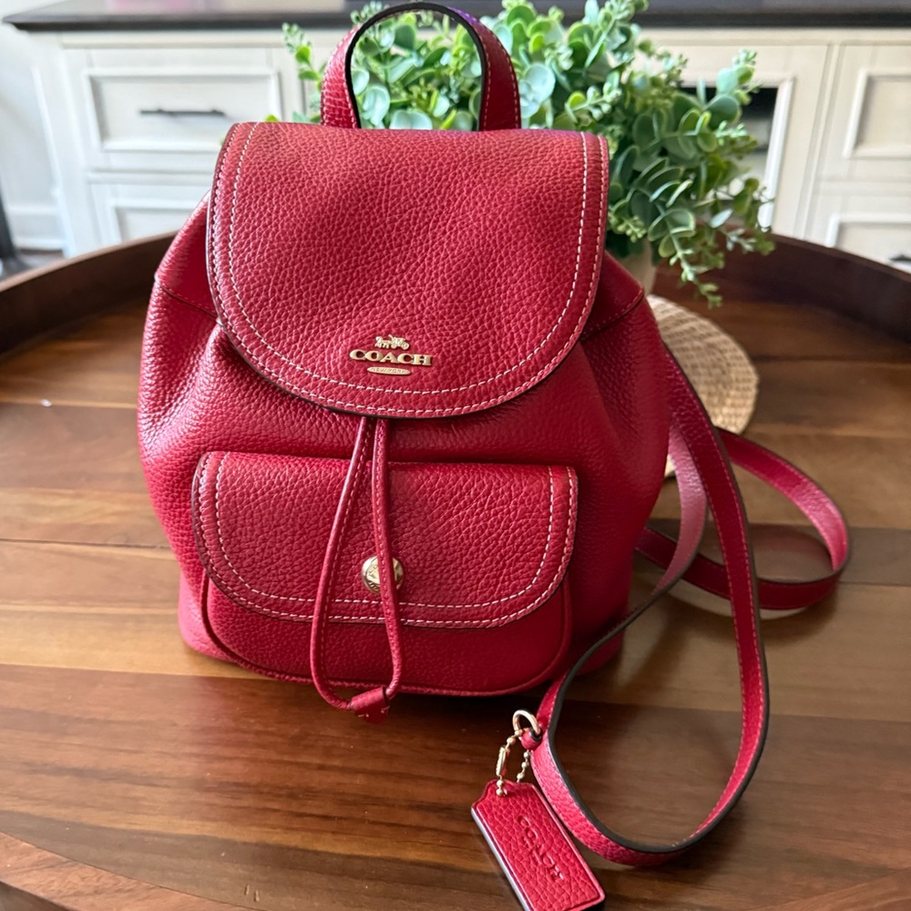 Coach Mini Red Leather Backpack